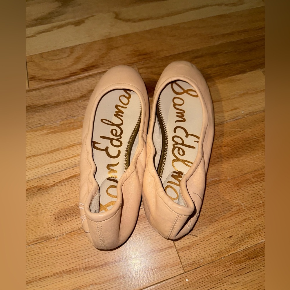 Sam Edelman Blush Ballet Flats